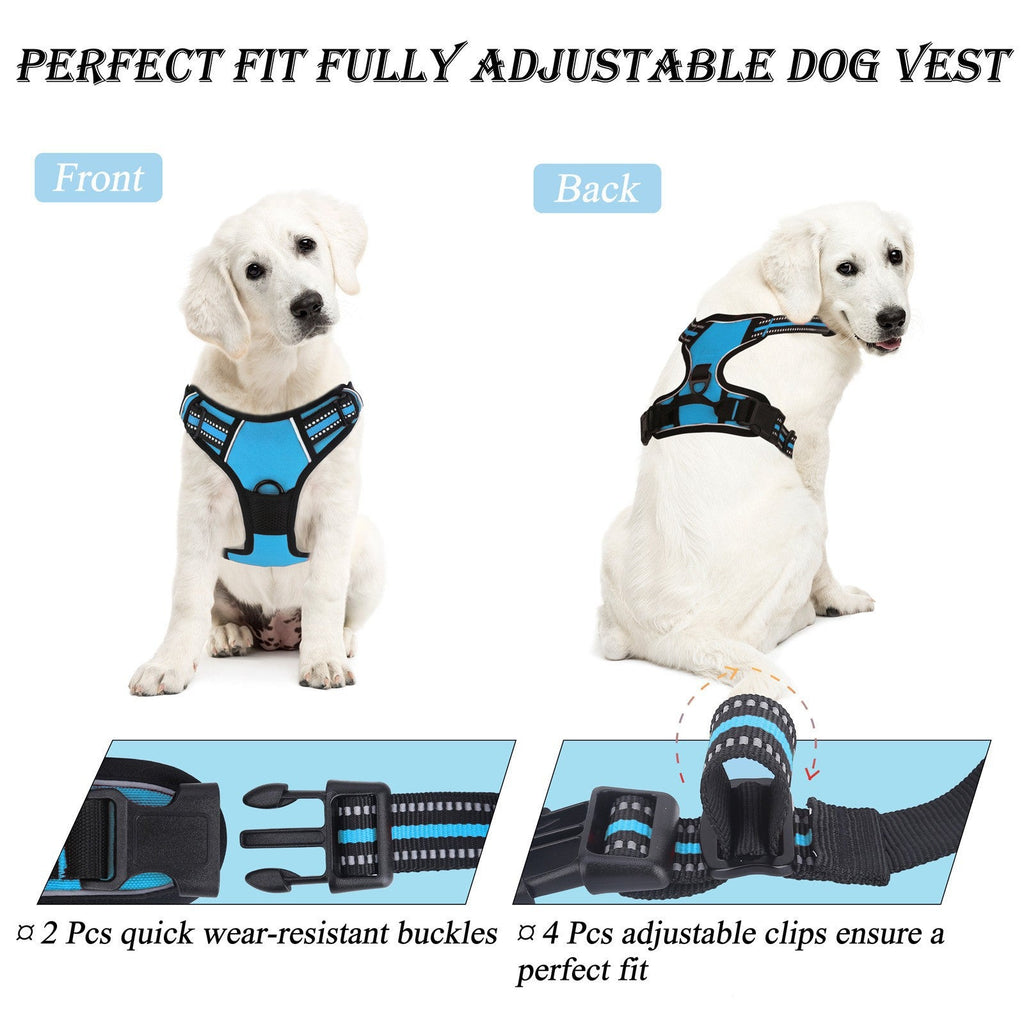 Reflective Step-In Dog Harness and Leash Set - Breathable Soft Mesh Pet Vest - No-Pull Adjustable Escape-Proof Harness for Small Medium Dogs & Cats