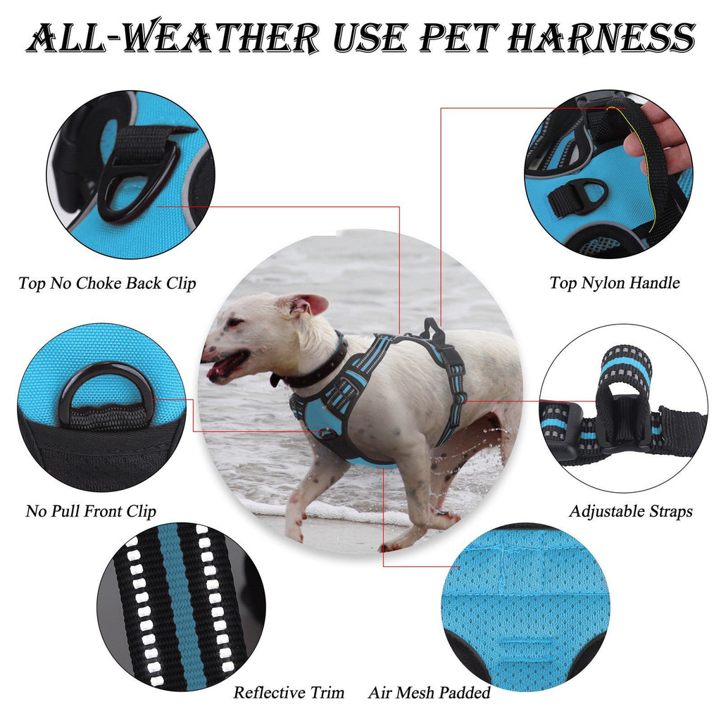 Reflective Step-In Dog Harness and Leash Set - Breathable Soft Mesh Pet Vest - No-Pull Adjustable Escape-Proof Harness for Small Medium Dogs & Cats