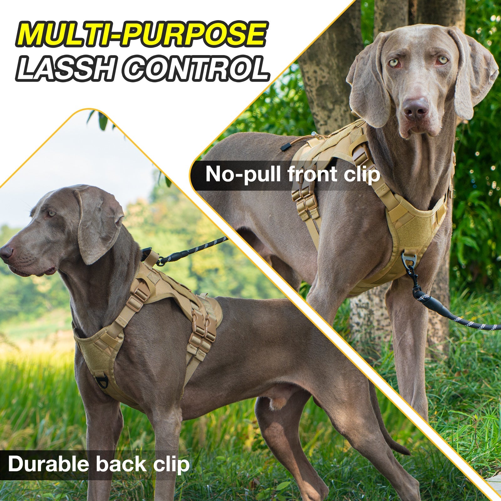 AyalaPet No-Pull Dog Harness and Leash Set - Reflective Adjustable Pet Vest for Small Medium Large Dogs - Escape-Proof Walking Gear (5 Colors & 3 Sizes)
