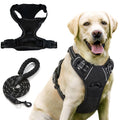 Reflective Step-In Dog Harness and Leash Set - Breathable Soft Mesh Pet Vest - No-Pull Adjustable Escape-Proof Harness for Small Medium Dogs & Cats