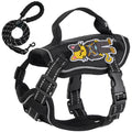 AyalaPet No-Pull Dog & Cat Harness with Handle - Adjustable Reflective Pet Vest - Breathable Soft Mesh Outdoor Walking Harness for Small & Medium